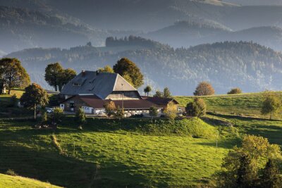 Fototapete Wiese am Bauernhof