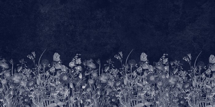 Fototapete Wiese auf marineblauem Hintergrund