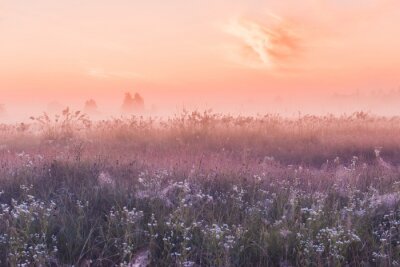 Fototapete Wiese mit Wildblumen und einem rosa Sonnenaufgang