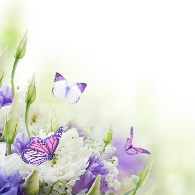 Fototapete Wiese voller Schmetterlinge und Blumen