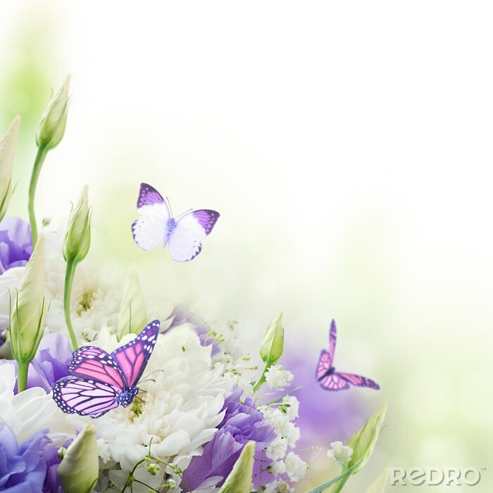 Fototapete Wiese voller Schmetterlinge und Blumen