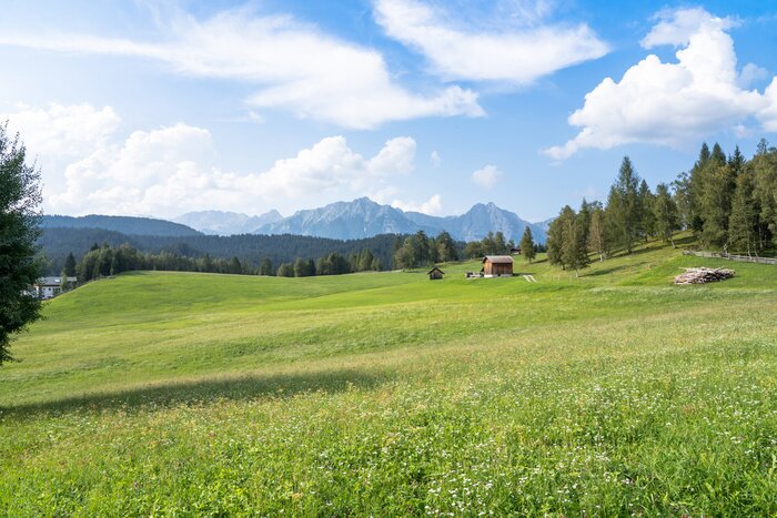 Fototapete Wiese vor dem Hintergrund der Alpen