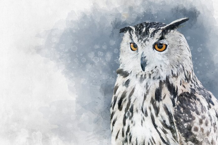 Fototapete Wilde Eule auf Aquarell-Hintergrund
