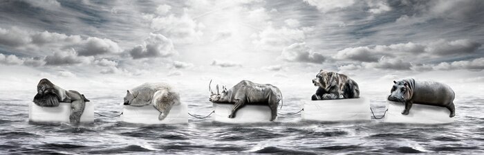 Fototapete Wilde Tiere und Meerestiere auf dem Ozean