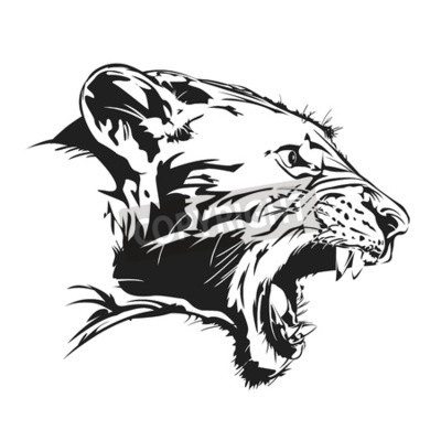 Fototapete Wilder brüllender tiger