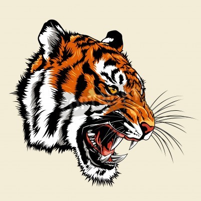Fototapete Wilder tiger mit reißzähnen