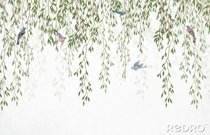 Fototapete Willow branches hanging from above with birds . Wallpaper, murals and wall paintings for interior printing.