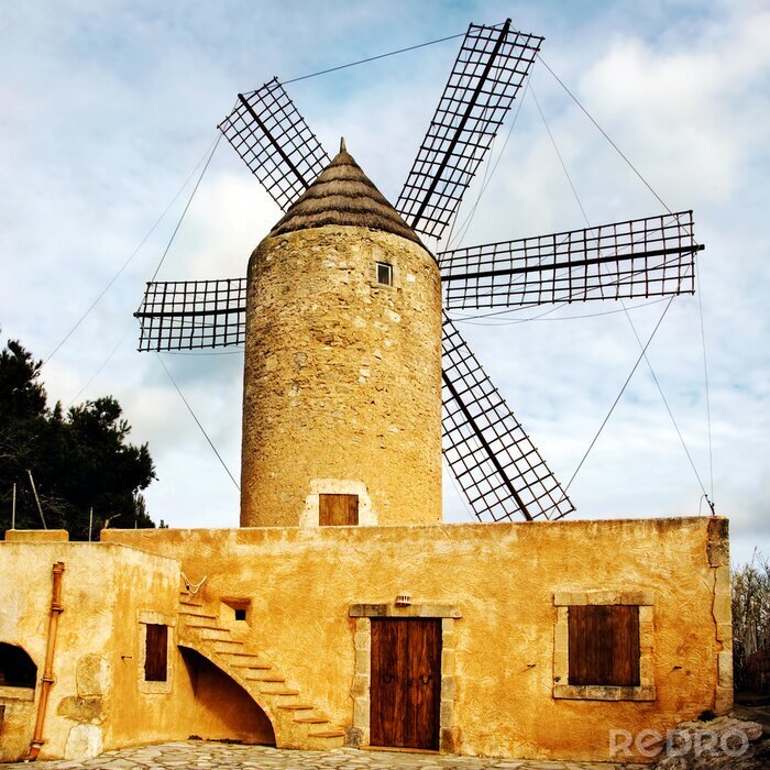 Fototapete Windmühle am sonnigen Tag