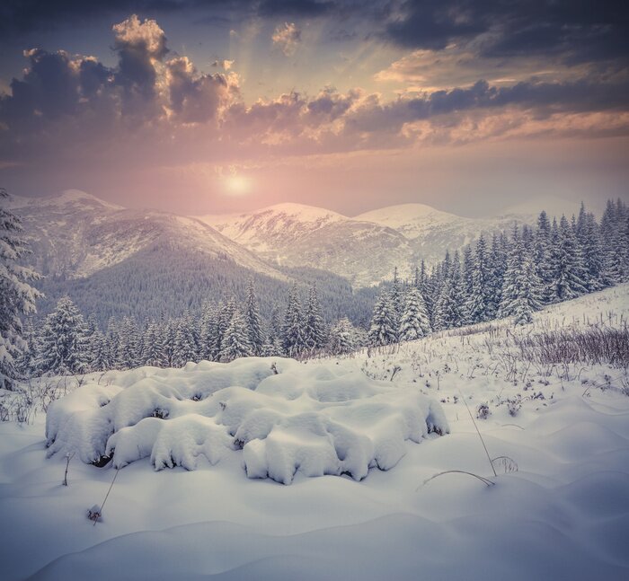 Fototapete Winter-Berglandschaft