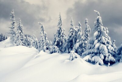 Fototapete Winter im Gebirge