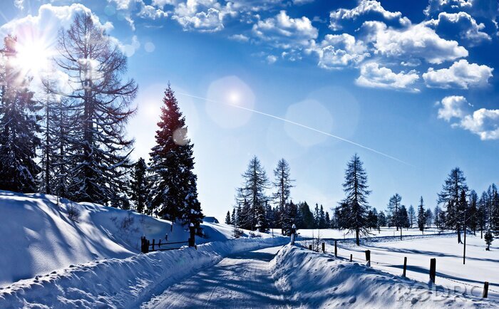 Fototapete Winterlandschaft in der Sonne
