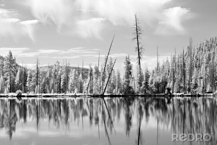 Fototapete Winterlandschaft mit kleinem See