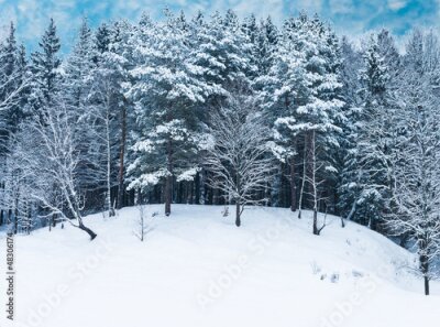 Fototapete Winterlandschaft Wald