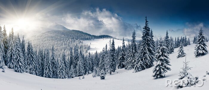 Fototapete Winterliches Bergpanorama