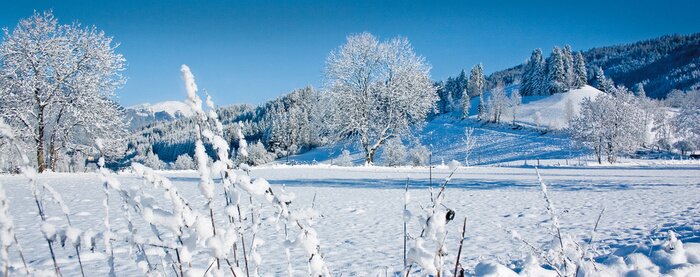 Fototapete Winternatur