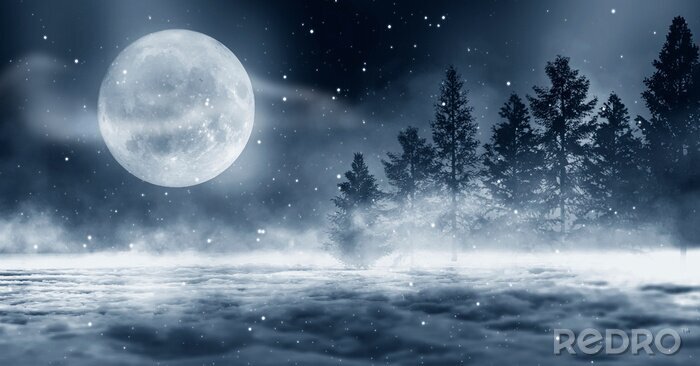 Fototapete Winterwald bei Nacht im Mondlicht