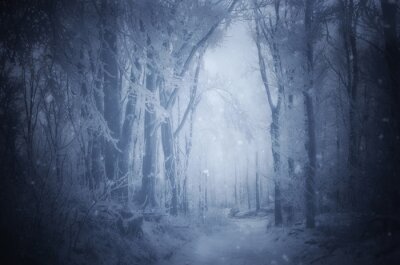 Fototapete Winterwald Fantasy
