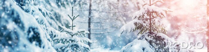 Fototapete Winterwald in zwei Farben