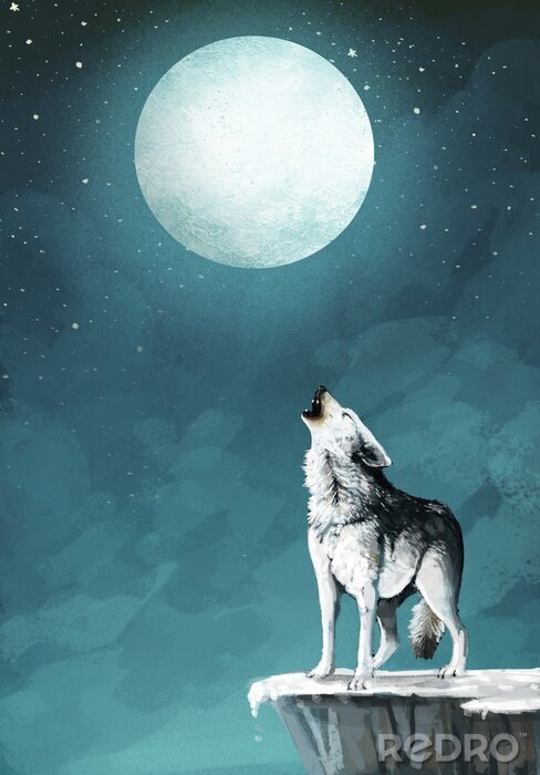 Fototapete Wolf am Nachthimmel