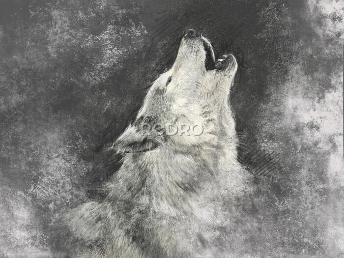 Fototapete Wolf, handgemachte Illustration auf grauem Hintergrund