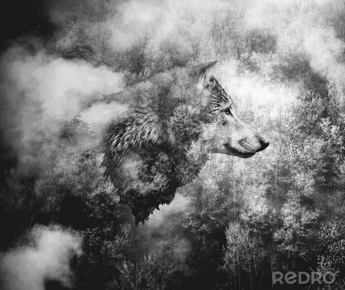 Fototapete Wolf im Wald versteckt
