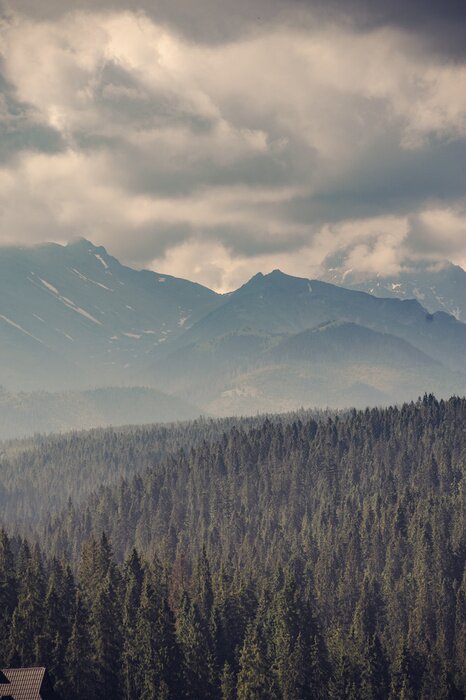 Fototapete Wolken, berge und bäume