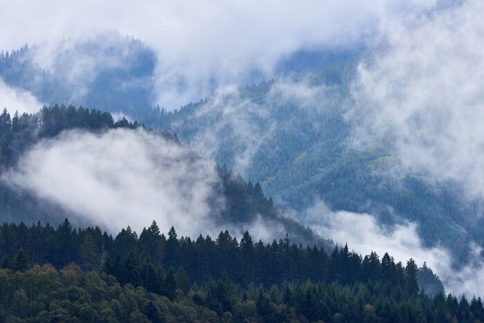 Fototapete Wolken mit wald im hintergrund