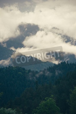 Fototapete Wolken über einem bergwald