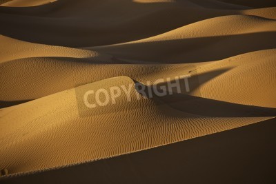 Fototapete Wüste in der Abendsonne