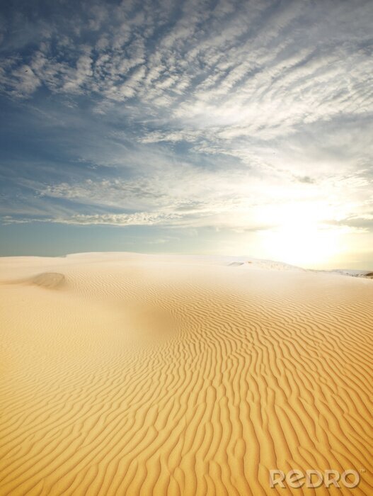 Fototapete Wüste mit hellem Sand