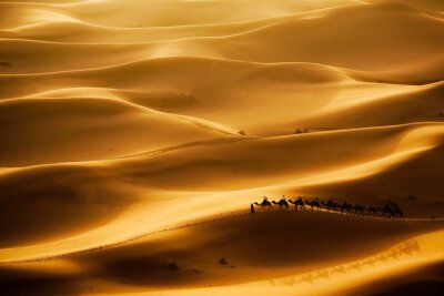 Fototapete Wüste Sahara