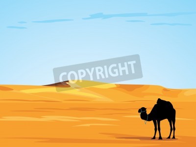 Fototapete Wüste und Kamel grafisch