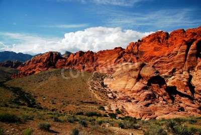 Fototapete Wüste und rote Felsen
