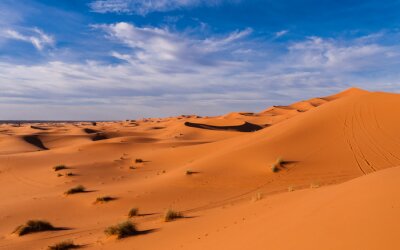 Fototapete Wüste vor dem Hintergrund des Himmels