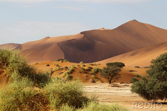 Fototapete Wüstendünen in Afrika