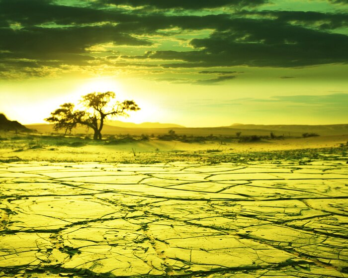 Fototapete Wüstenfeld