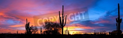 Fototapete Wüstenkakteen vor dem Hintergrund des Sonnenuntergangs