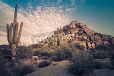 Fototapete Wüstenlandschaft in Arizona