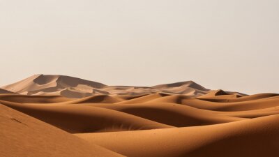 Fototapete Wüstenlandschaft mit Sanddünen