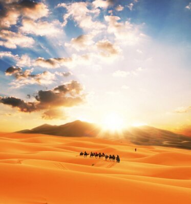 Fototapete Wüstenlandschaft mit Tieren