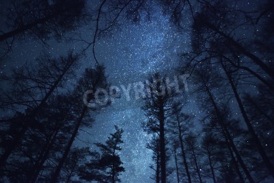 Fototapete Wunderschöner Nachthimmel