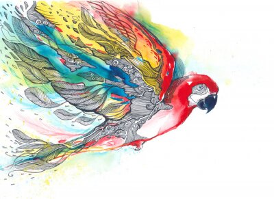 Fototapete Wunderschöner Vogel mit Aquarellfarbe gemalt
