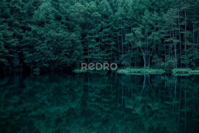 Fototapete 御射鹿池