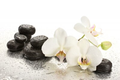 Spa Steine ​​und Orchidee blüht, isoliert auf weiß.