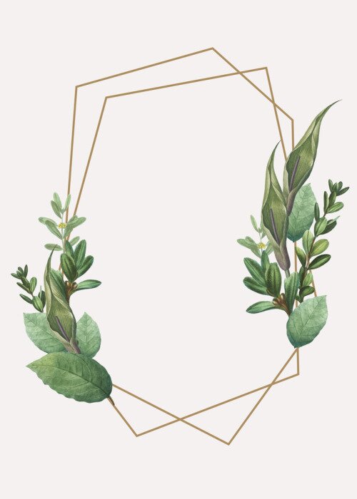 Fototapete XXL botanisches Motiv