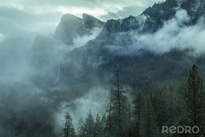Fototapete Yosemite-nationalpark