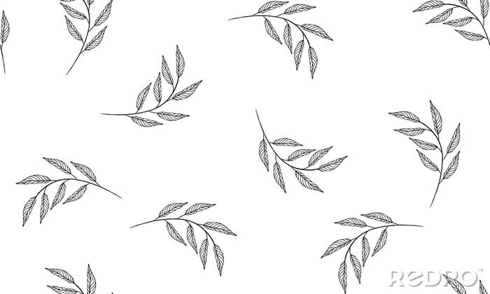 Fototapete Zarte Blätter in Schwarz und Weiß