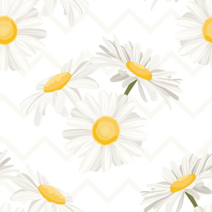 Fototapete Zarte grafische Gänseblümchen