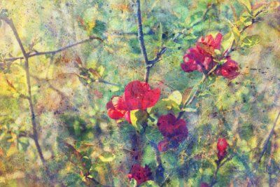 Fototapete Zarte rote Blüten