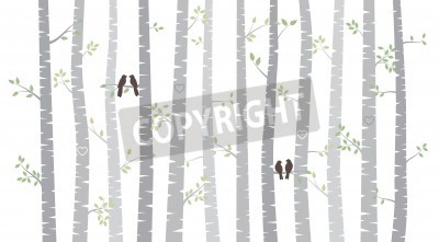 Fototapete Zartes Muster mit Birken in Grautönen